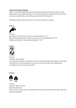 Guide for the footprint detective Visitors can spot the