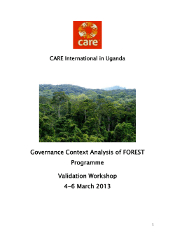 4.0 Governance Context Analysis of the FOREST Programme