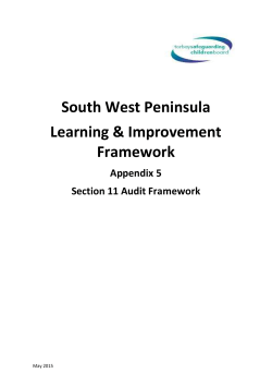 Appendix 5 - Section 11 Audit Framework Provides a clear