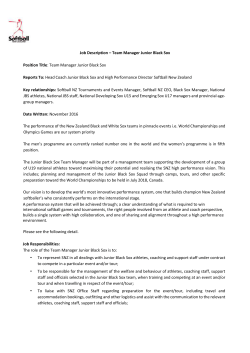 Microsoft Word - JBS Team Manager - Job