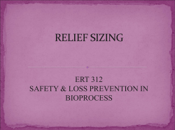 CHAPTER 8 RELIEF SIZING
