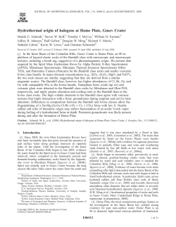 Hydrothermal origin of halogens at Home Plate
