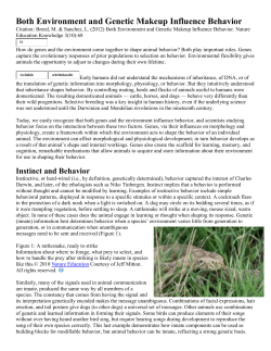 Both Environment and Genetic Makeup Influence Behavior