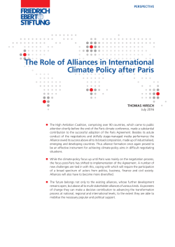 The Role of Alliances in International Climate Policy after Paris