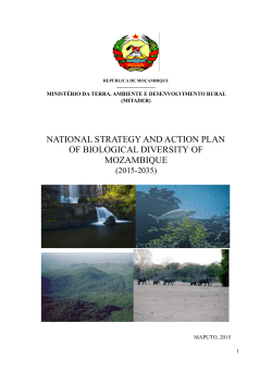 CBD Strategy and Action Plan - Mozambique (English version)