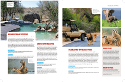 sabi sand reserve hluhluwe-imfolozi park madikwe game reserve