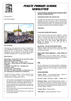 pukete primary school newsletter