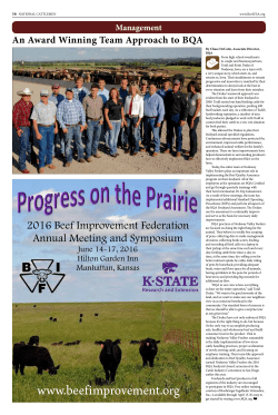 An Award Winning Team Approach to BQA