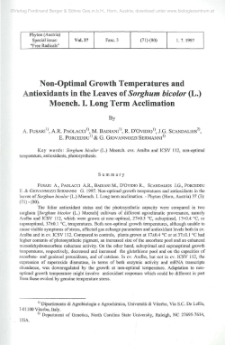 Non-Optimal Growth Temperatures and Antioxidants in