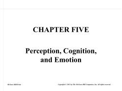 Perception, Cognition, and Emotion in Negotiation