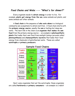Food_Chains_and_Webs