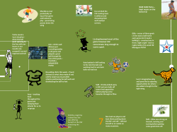 Liz daydreamed most of the game however did concentrate long