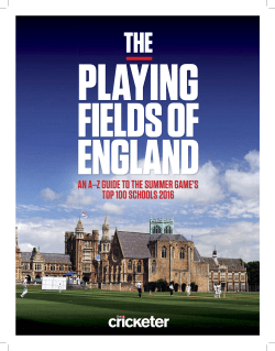 an a&ndash;z guide to the summer game`s top 100