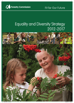 Equality and Diversity Strategy 2012-2017