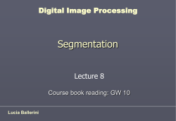 Segmentering