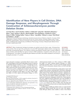Identification of New Players in Cell Division, DNA Damage