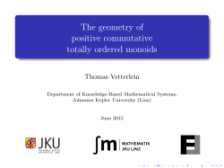 The geometry of positive commutative totally ordered monoids