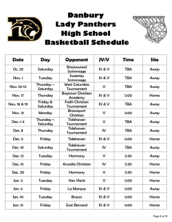 Danbury Lady Panthers High School Basketball