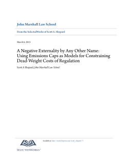 A Negative Externality by Any Other Name: Using