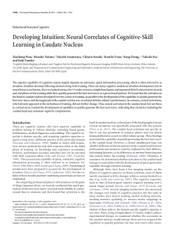 Developing Intuition: Neural Correlates of