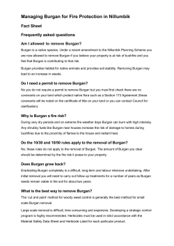 Managing Burgan for Fire Protection in Nillumbik