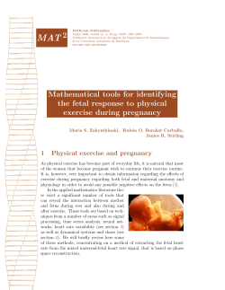 2 Mathematical tools for identifying the fetal response to physical