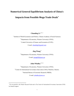 Numerical General Equilibrium Analysis of China`s