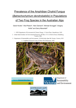 Distribution of the Amphibian Chytrid Fungus