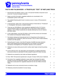 FACTS AND FALSEHOODS - A TRUE/FALSE &ldquo;TEST&rdquo; OF WETLAND