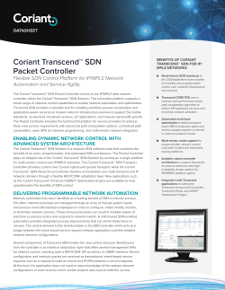 Datasheet - Coriant Transcend&trade; SDN Packet Controller