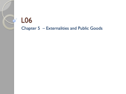 Chapter 5 &ndash; Externalities and Public Goods