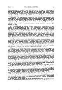 Telephone wires fatal to sage grouse