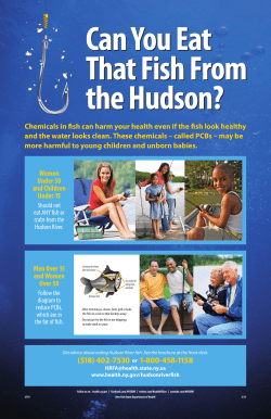 Can You Eat That Fish From the Hudson?