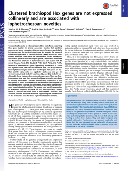 Clustered brachiopod Hox genes are not