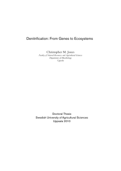Denitrification: From Genes to Ecosystems