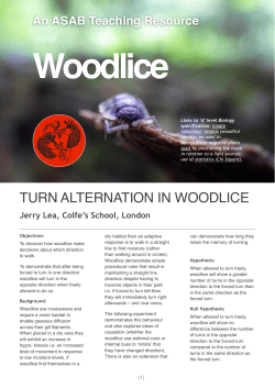 TURN ALTERNATION IN WOODLICE