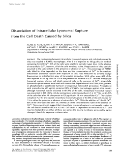 Dissociation of Intracellular Lysosomal Rupture