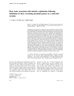 Root traits associated with nutrient exploitation