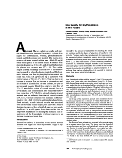 Iron Supply for Erythropoiesis in the Rabbit available iron supply