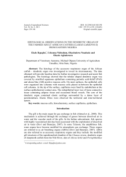 histological observations on the dendretic organ of the