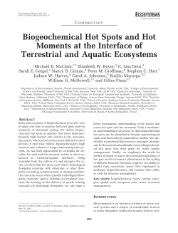 Biogeochemical Hot Spots and Hot Moments at the