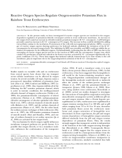 Reactive Oxygen Species Regulate Oxygen