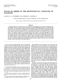 rules of order in the retinotectal fascicles of goldfish