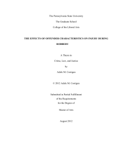 THE EFFECTS OF OFFENDER CHARACTERISTICS ON INJURY