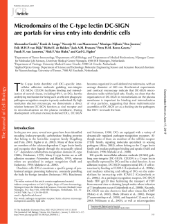 Microdomains of the C-type lectin DC