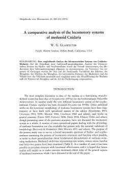 A comparative analysis of the locomotory systems of medusoid