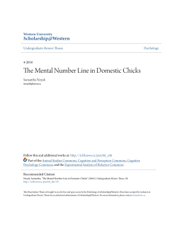 The Mental Number Line in Domestic Chicks