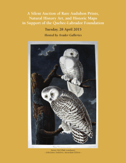 A Silent Auction of Rare Audubon Prints, Natural History