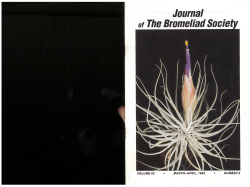 BSI_V43(2). - BSI Journal Archive