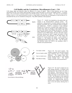 An Introduction to the Cytoskeleton.